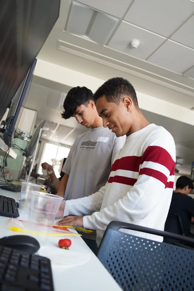Summer School 2024 — Bridging the Future at University College London
