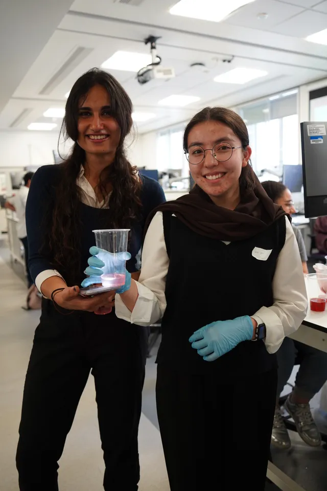 Summer School 2025 — Bridging the Future at University College London